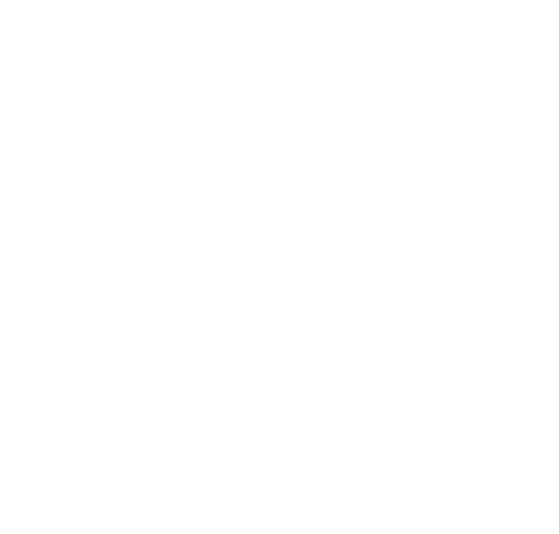 MA INSTITUTE